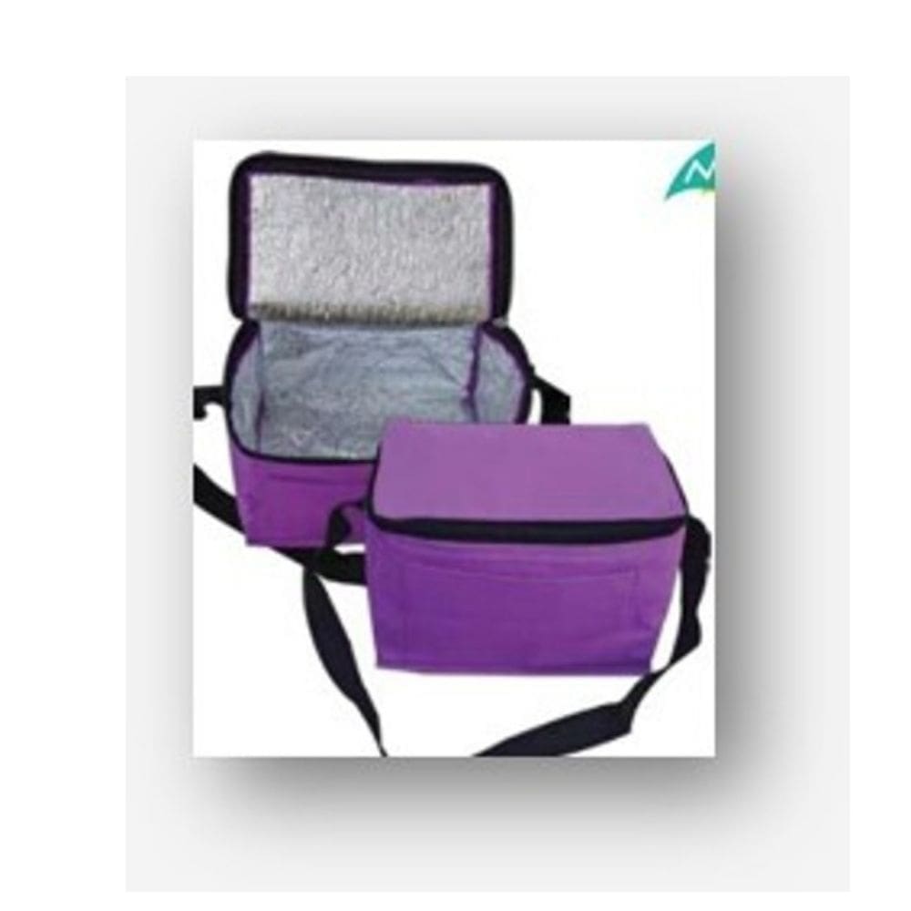 Smart Start Insulated Lunch Bag